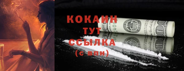 COCAINE Богородицк